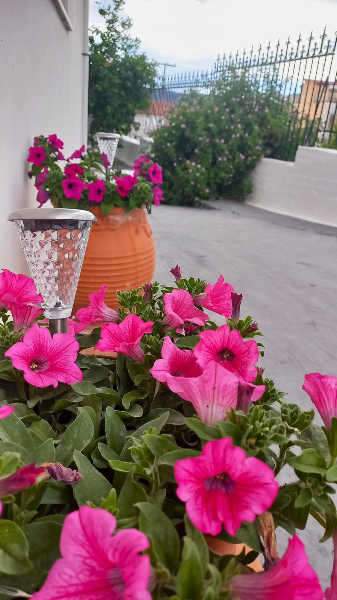 Ferienwohnung Triζin Galatás Exterior foto